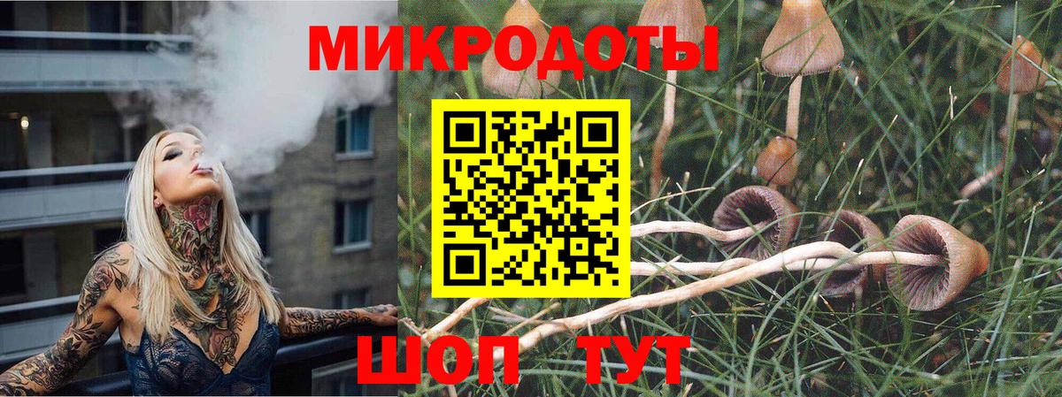 Галлюциногенные грибы MAGIC MUSHROOMS Сургут