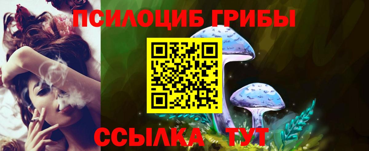 наркошоп  Вход с VPN  Сургут  Псилоцибиновые грибы MAGIC MUSHROOMS 